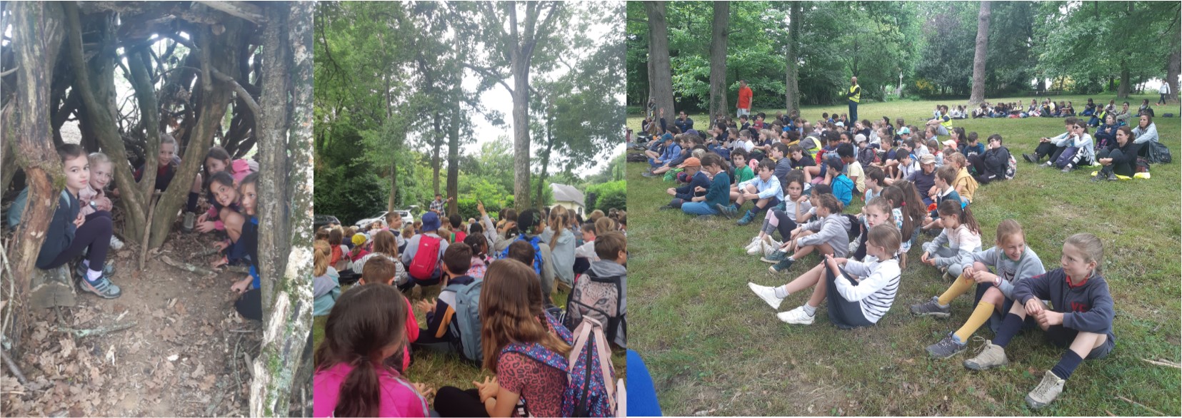 Marche dans la bois Sauvagnon conteur