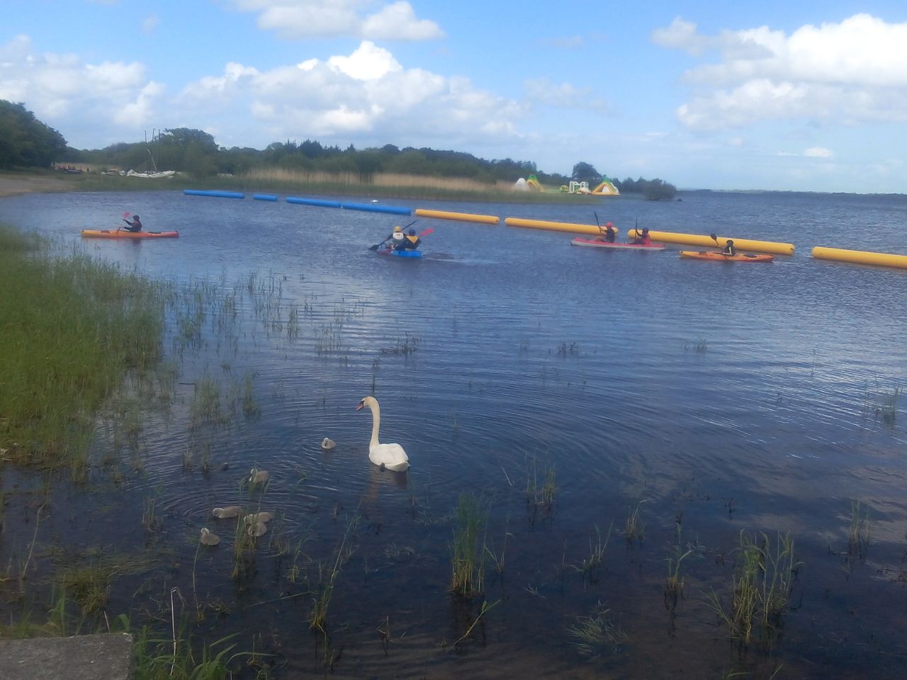 Kayak