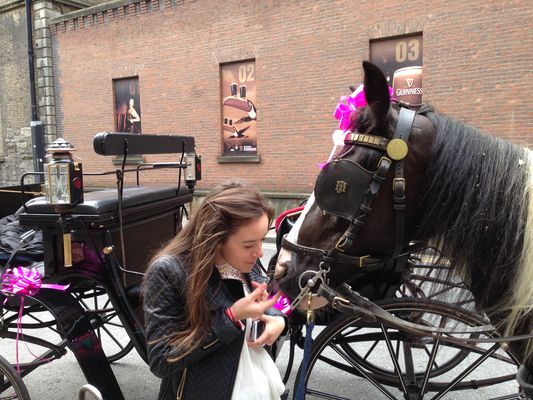 Guiness chevaux celine
